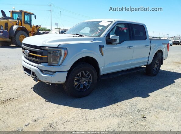 1FTEW1E83PFB34078 2023 FORD F150 Gray Vista tres cuartos delantera izquierda