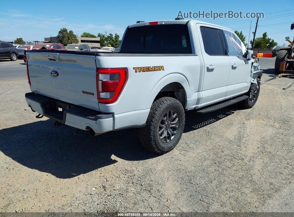 1FTEW1E83PFB34078 2023 FORD F150 Gray Trasero derecho