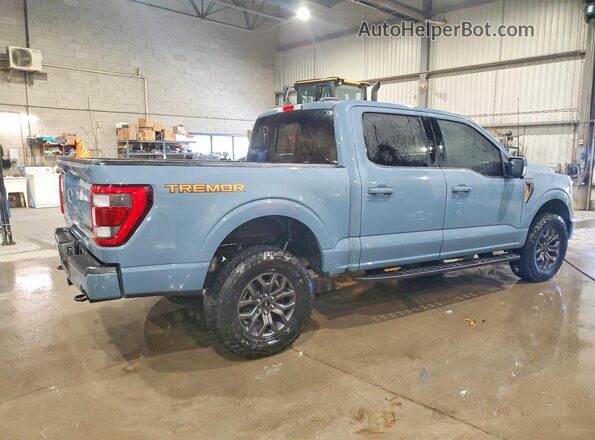 1FTEW1E87PFC81942 2023 FORD F150 Blue უკანა მარჯვენა