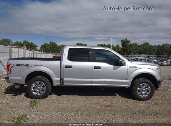 1FTEW1E88HFC09214 2017 FORD F150 Silver Սալոնի հետևի տեսք