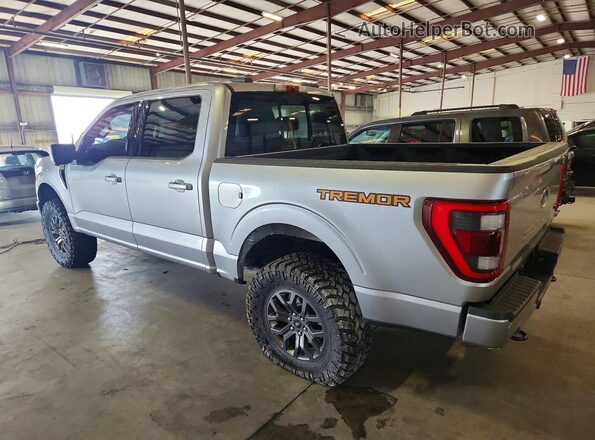 1FTEW1E88NFB30976 2022 FORD F150 Silver Rear left