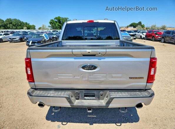 1FTEW1E89PFB98030 2023 FORD F150 Gray უკანა ხედი