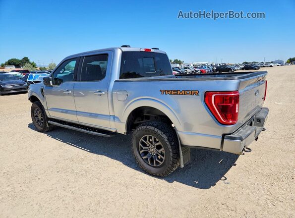 1FTEW1E89PFB98030 2023 FORD F150 Gray უკანა მარცხენა
