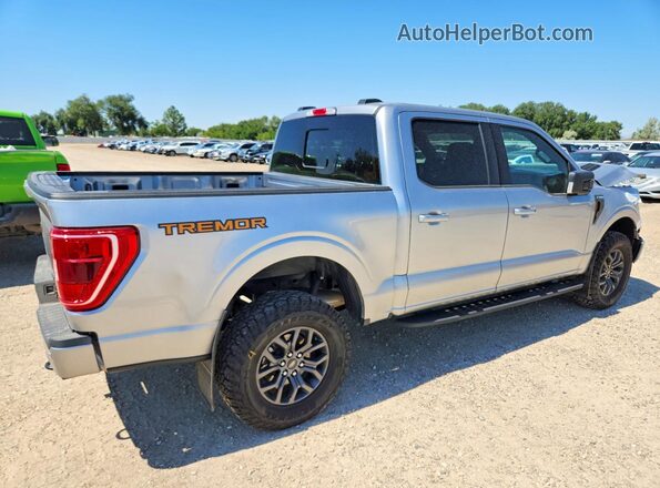 1FTEW1E89PFB98030 2023 FORD F150 Gray უკანა მარჯვენა