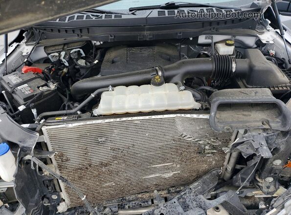 1FTEW1E89PFB98030 2023 FORD F150 Gray უკანა სალონის ხედი