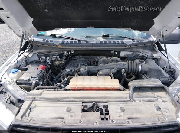1FTEW1EB0JFD04982 2018 FORD F150 White Rear view