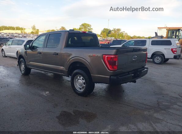 1FTEW1EB1MKE70861 2021 FORD F150 Коричневый Задняя левая четверть