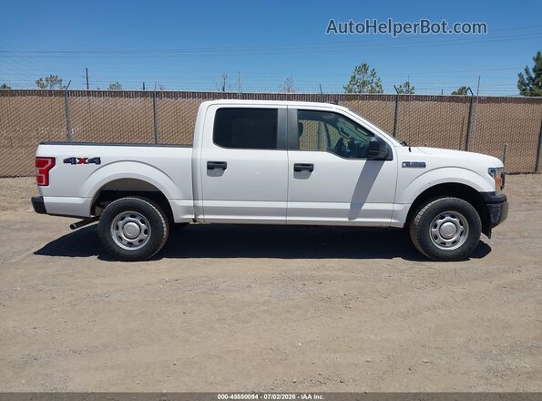1FTEW1EB4LKE13391 2020 FORD F150 White Սալոնի հետևի տեսք