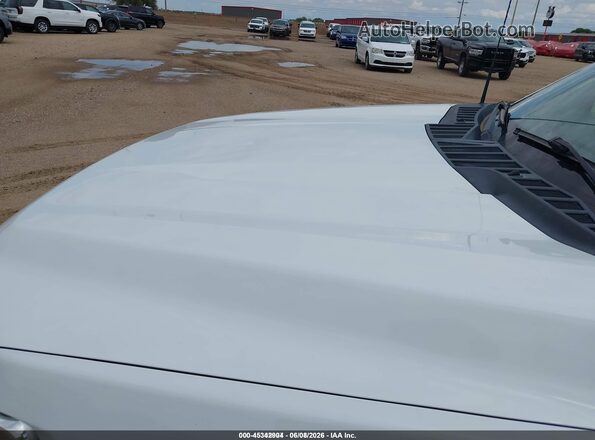 1FTEW1EB4MFB81210 2021 FORD F150 White Vista frontal