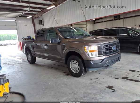 1FTEW1EB5MKE70846 2021 FORD F150 Brown Вид задньої частини салону