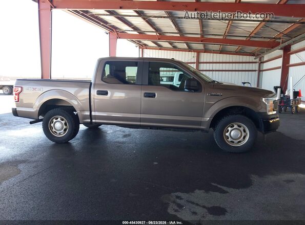 1FTEW1EB6JFD04968 2018 FORD F150 Brown Սալոնի 360 աստիճան տեսք