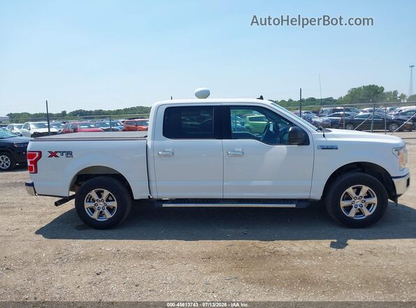 1FTEW1EB6KFA99153 2019 FORD F150 White Вид задньої частини салону