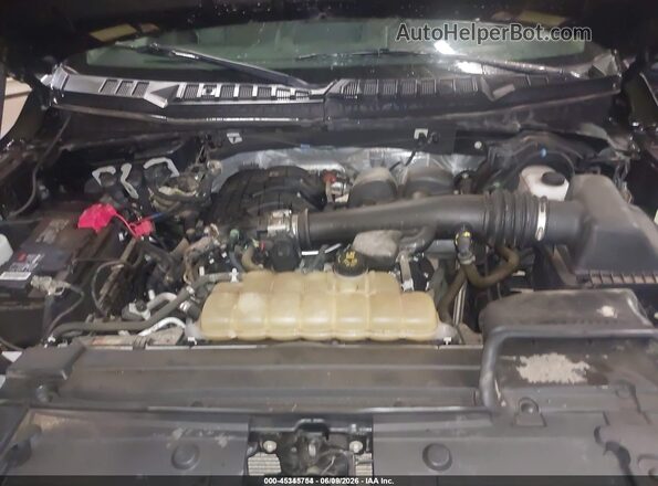 1FTEW1EB7LKE46109 2020 FORD F150 Dark Blue Հետևի տեսք