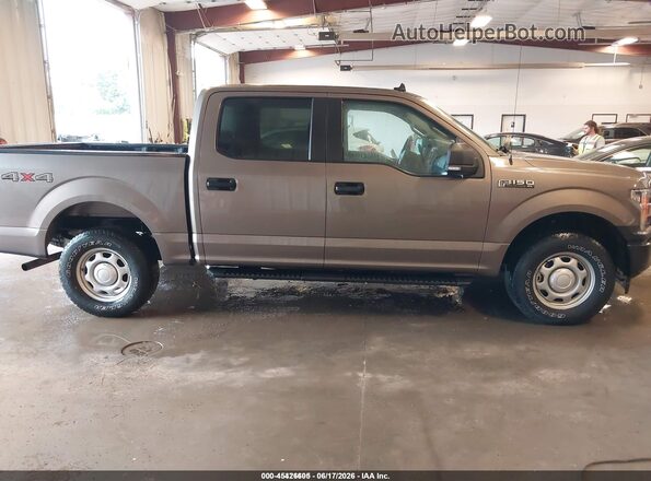 1FTEW1EB7LKE81409 2020 FORD F150 Brown უკანა სალონის ხედი