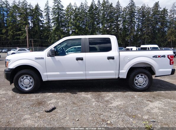 1FTEW1EB8JKF08498 2018 FORD F150 Белый Панорамный вид салона 360°
