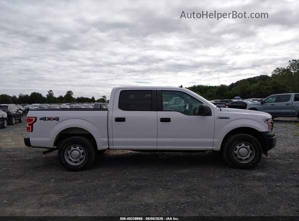 1FTEW1EB8LKE13426 2020 FORD F150 White Սալոնի հետևի տեսք