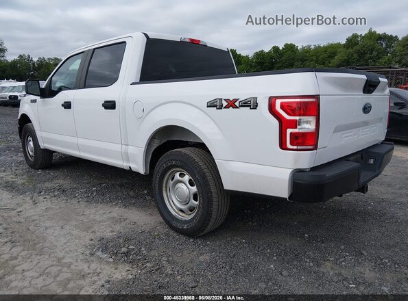 1FTEW1EB8LKE13426 2020 FORD F150 White Հետևի ձախ