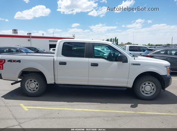 1FTEW1EB8LKF21626 2020 FORD F150 White Widok wnętrza z tyłu