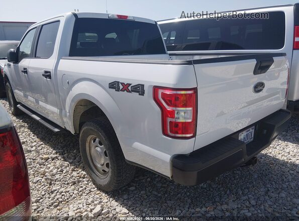 1FTEW1EB9KKC24833 2019 FORD F150 White Tył lewy