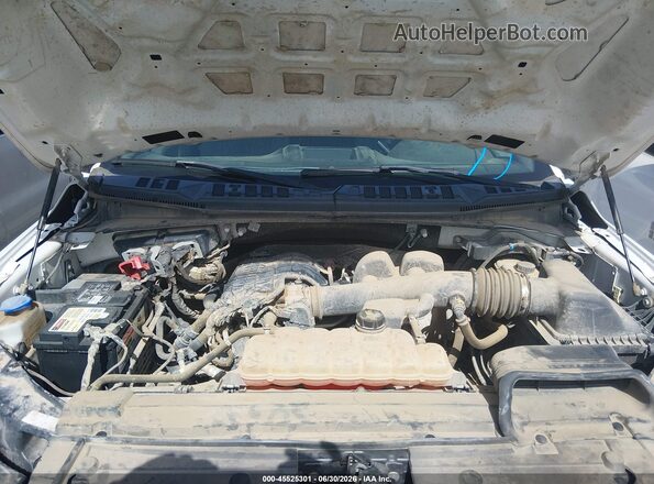 1FTEW1EB9KKC24833 2019 FORD F150 White Widok z tyłu