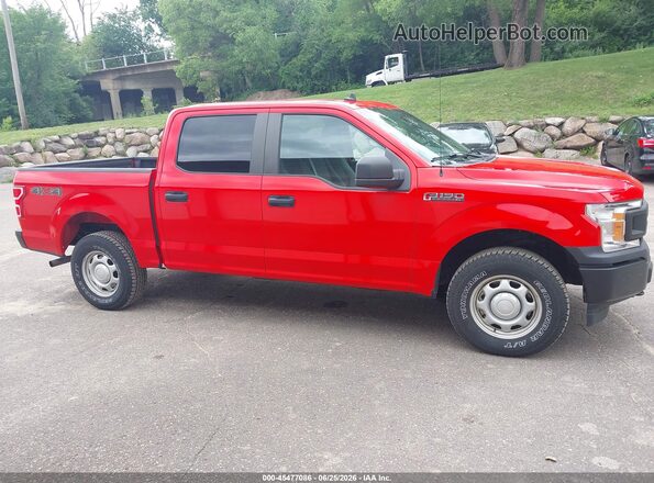 1FTEW1EB9LKE13919 2020 FORD F150 Красный Вид задней части салона