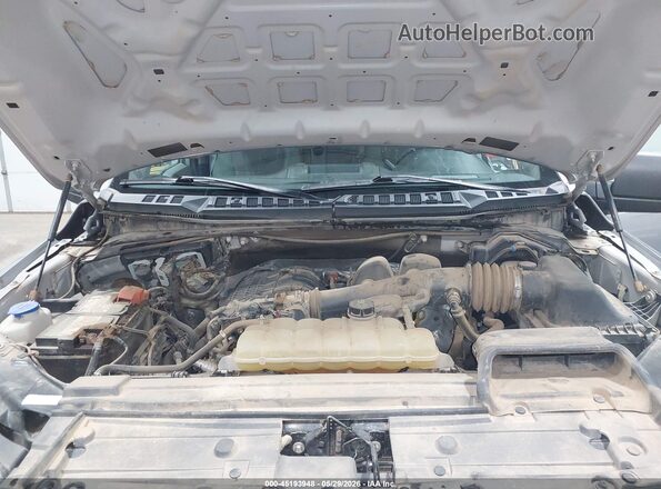 1FTEW1EB9LKE82075 2020 FORD F150 Gray Widok z tyłu
