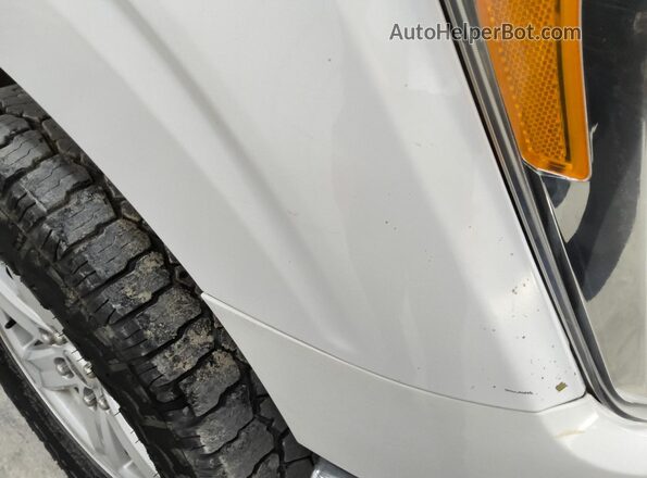 1FTEW1EB9MKD48104 2021 FORD F150 Белый 