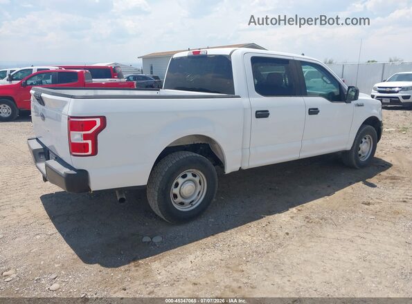 1FTEW1EBXLKF21059 2020 FORD F150 White Задня права чверть