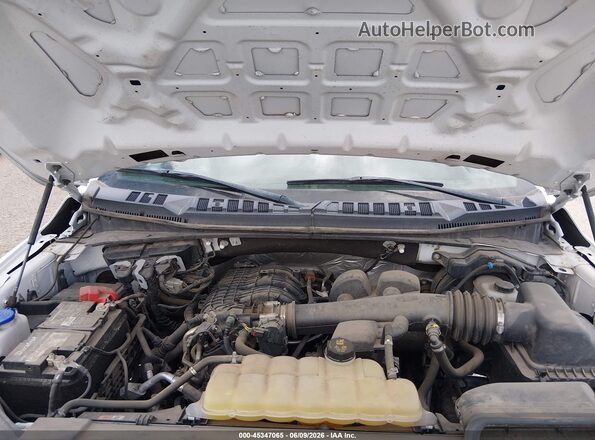 1FTEW1EBXLKF21059 2020 FORD F150 White Вид ззаду