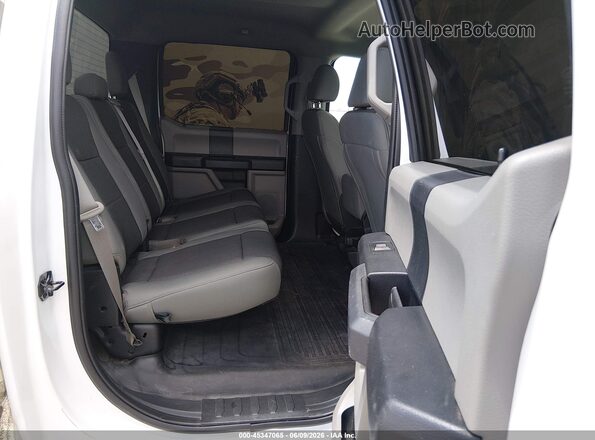 1FTEW1EBXLKF21059 2020 FORD F150 White Вид наклейки з VIN-кодом