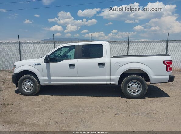 1FTEW1EBXLKF21059 2020 FORD F150 White Панорамний вид салону 360°