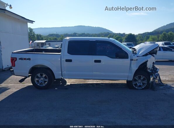 1FTEW1EF0HKC92773 2017 FORD F150 White უკანა სალონის ხედი