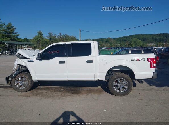 1FTEW1EF0HKC92773 2017 FORD F150 White სალონის 360-გრადუსიანი ხედი