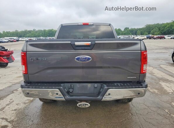 1FTEW1EF1GFA25083 2016 FORD F150 Gray უკანა ხედი