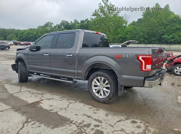 1FTEW1EF1GFA25083 2016 FORD F150 Gray უკანა მარცხენა