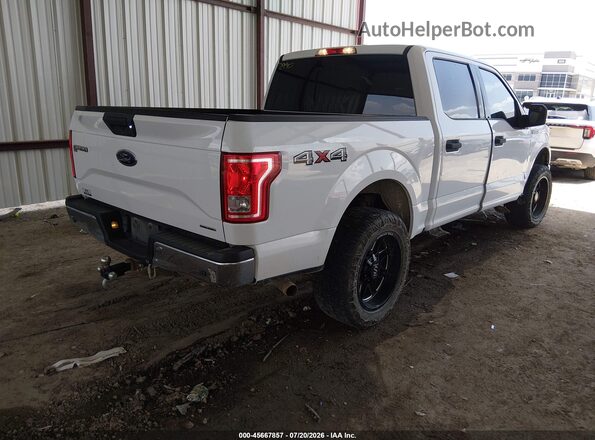 1FTEW1EF1GFB03930 2016 FORD F150 White Задня права чверть