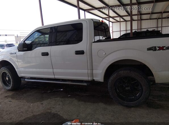 1FTEW1EF1GFB03930 2016 FORD F150 White Панорамний вид салону 360°