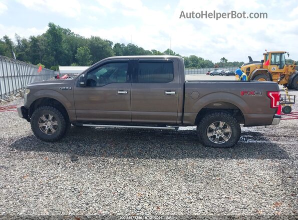 1FTEW1EF1GFD32267 2016 FORD F150 Green Սալոնի 360 աստիճան տեսք