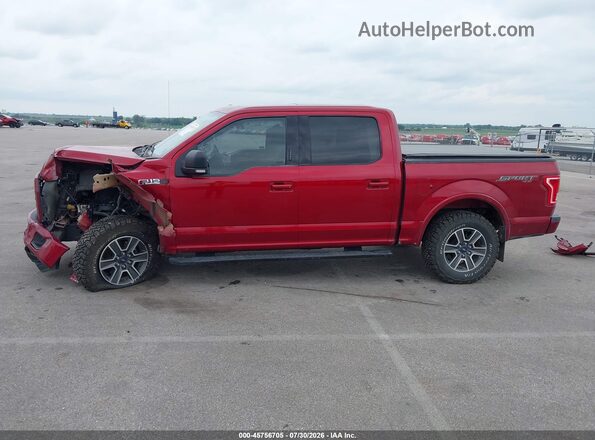 1FTEW1EF1HKD41866 2017 FORD F150 Красный 