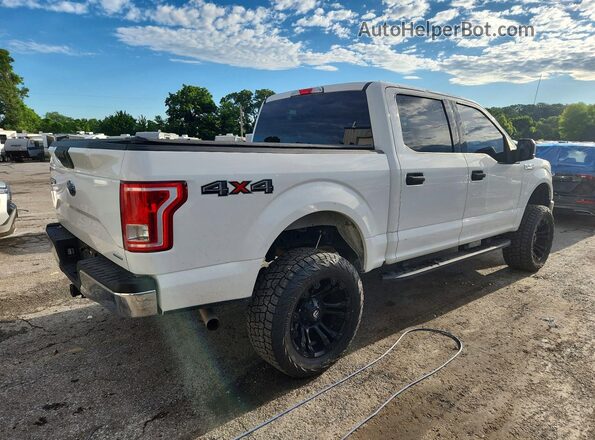 1FTEW1EF2GFC31254 2016 FORD F150 Белый Задняя правая четверть