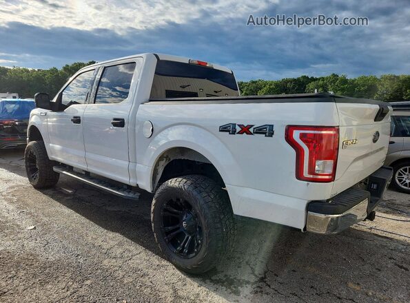 1FTEW1EF2GFC31254 2016 FORD F150 Белый Задняя левая четверть