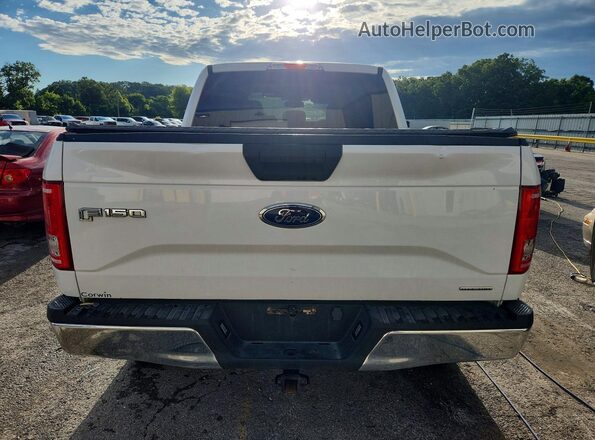 1FTEW1EF2GFC31254 2016 FORD F150 Белый Вид сзади