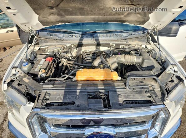 1FTEW1EF2GFC31254 2016 FORD F150 Белый Вид задней части салона