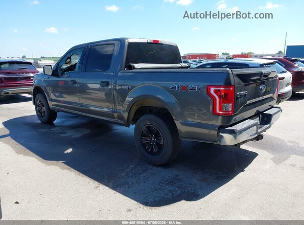 1FTEW1EF2GKD46248 2016 FORD F150 Серый Задняя левая четверть