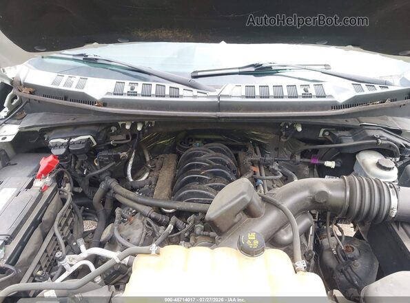 1FTEW1EF2HFB74071 2017 FORD F150 Белый Вид сзади