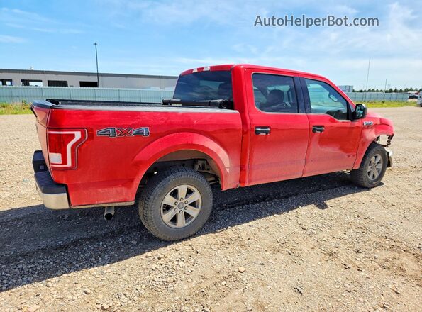 1FTEW1EF4GKD79428 2016 FORD F150 Red Tył prawy