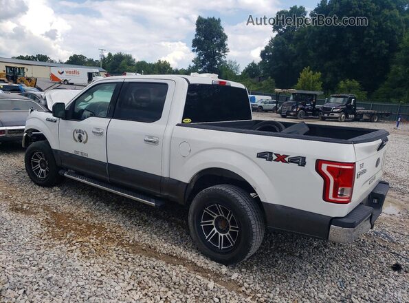 1FTEW1EF4HFA50853 2017 FORD F150 White Trasero izquierdo