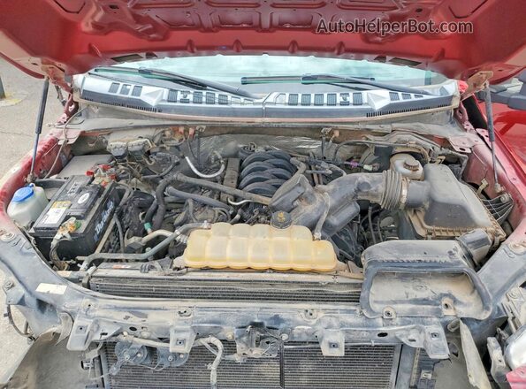 1FTEW1EF4HKC03531 2017 FORD F150 Темно-бордовый Вид задней части салона