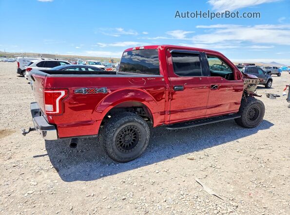 1FTEW1EF6GKD78099 2016 FORD F150 Red Rear right