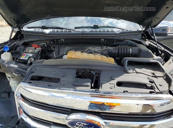 1FTEW1EF7GFD39059 2016 FORD F150 Black Widok wnętrza z tyłu